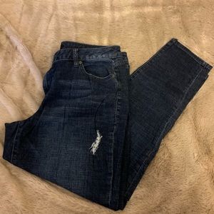 Lane Bryant Jeans